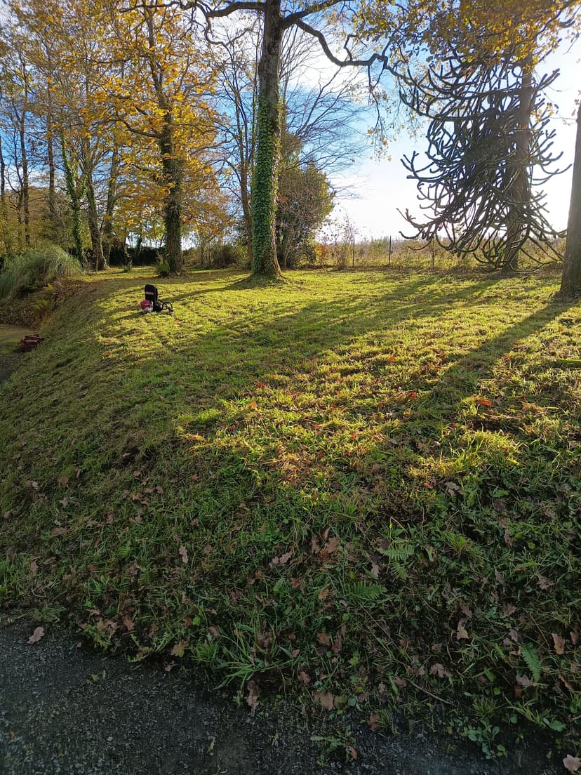 Jardin naturel entretenu