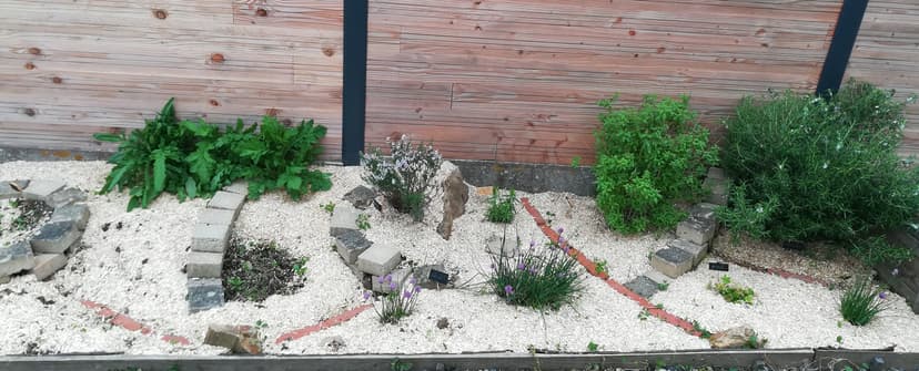 Création d'un massif d'aromates